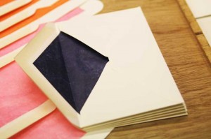 Plic cu interior de matase