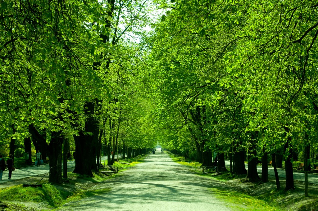 Tudor Lucian Valean.