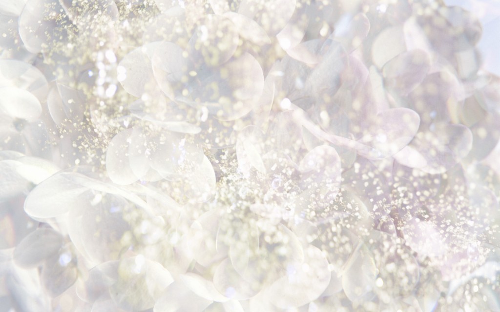 Flower-Art-Winter-White-2-1920x1200