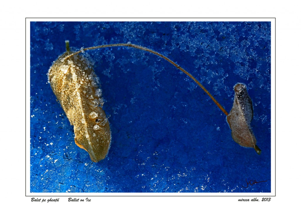 Balet pe gheata
