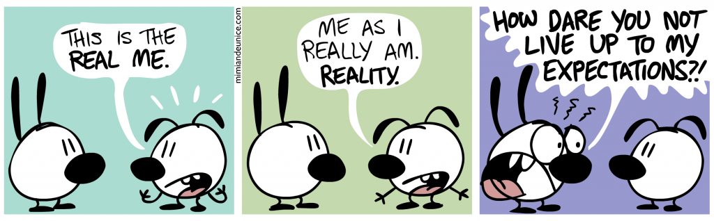 ME_452_Expectations