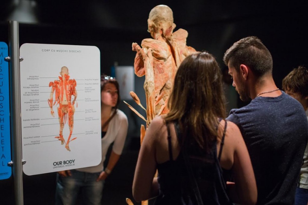 our body 2