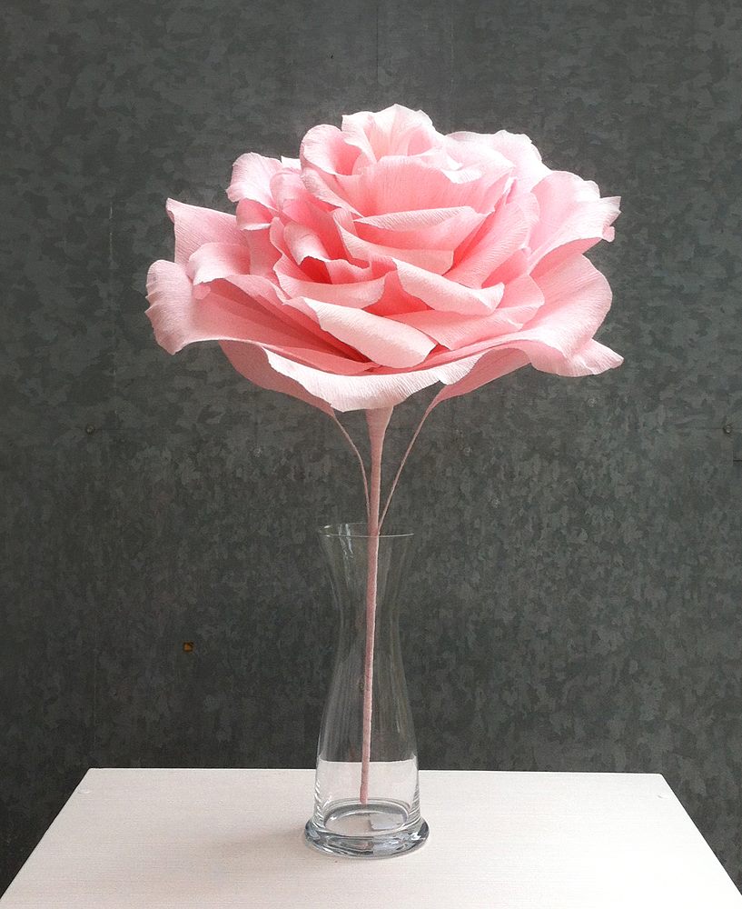 177662_559250970757662_1861368240_o