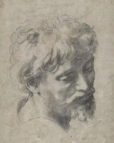 _64600987_raphaelfull