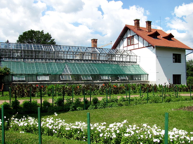 Cluj-Napoca-Grădina_Botanică_-Alexandru_Borza_-sere-IMG_1294
