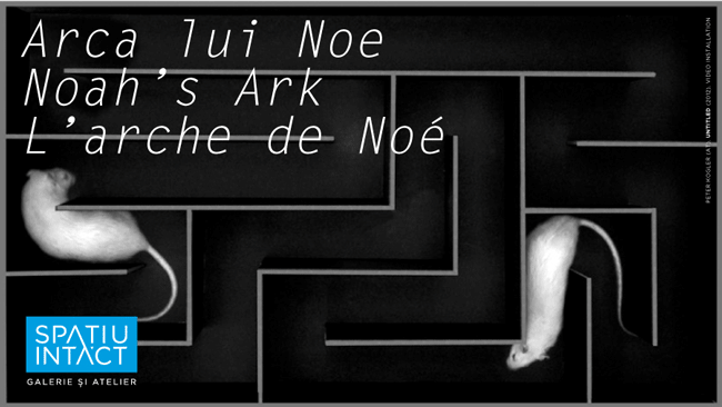 expozitie-arca-lui-noe