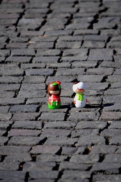 xfs_800x600_s80_DSC_1367