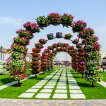 Dubai Miracle Garden