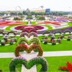 Dubai Miracle Garden