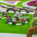 Dubai Miracle Garden