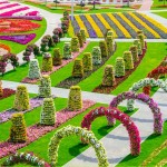 Dubai Miracle Garden