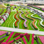 Dubai Miracle Garden