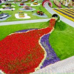 Dubai Miracle Garden