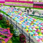 Dubai Miracle Garden