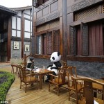 article-0-184D3650000005DC-370_634x433