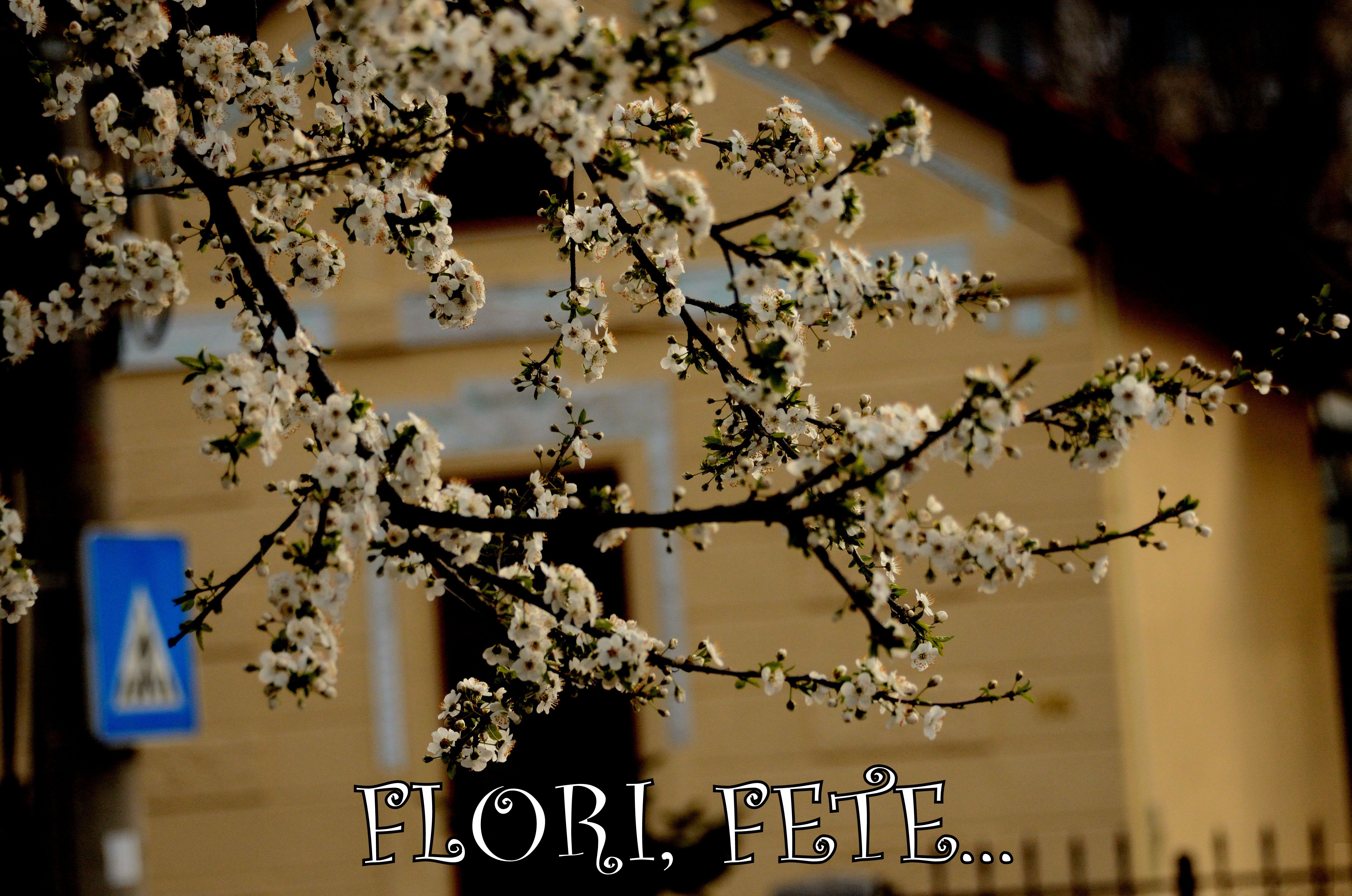 flori fete
