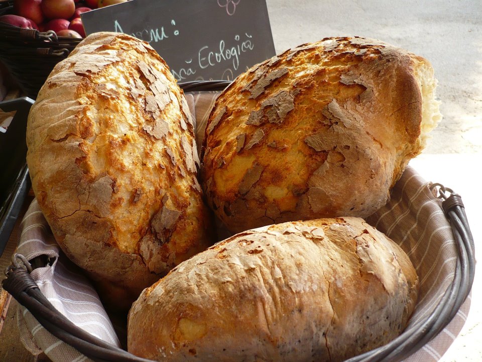 560316_354846031220334_1887929804_n