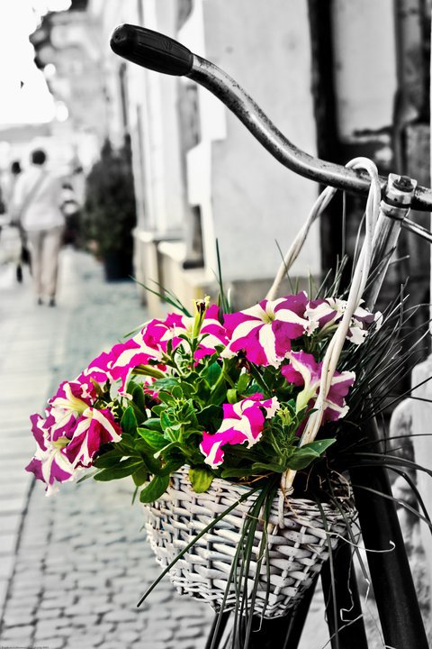 Abdelmoumen Taoutaou (3)