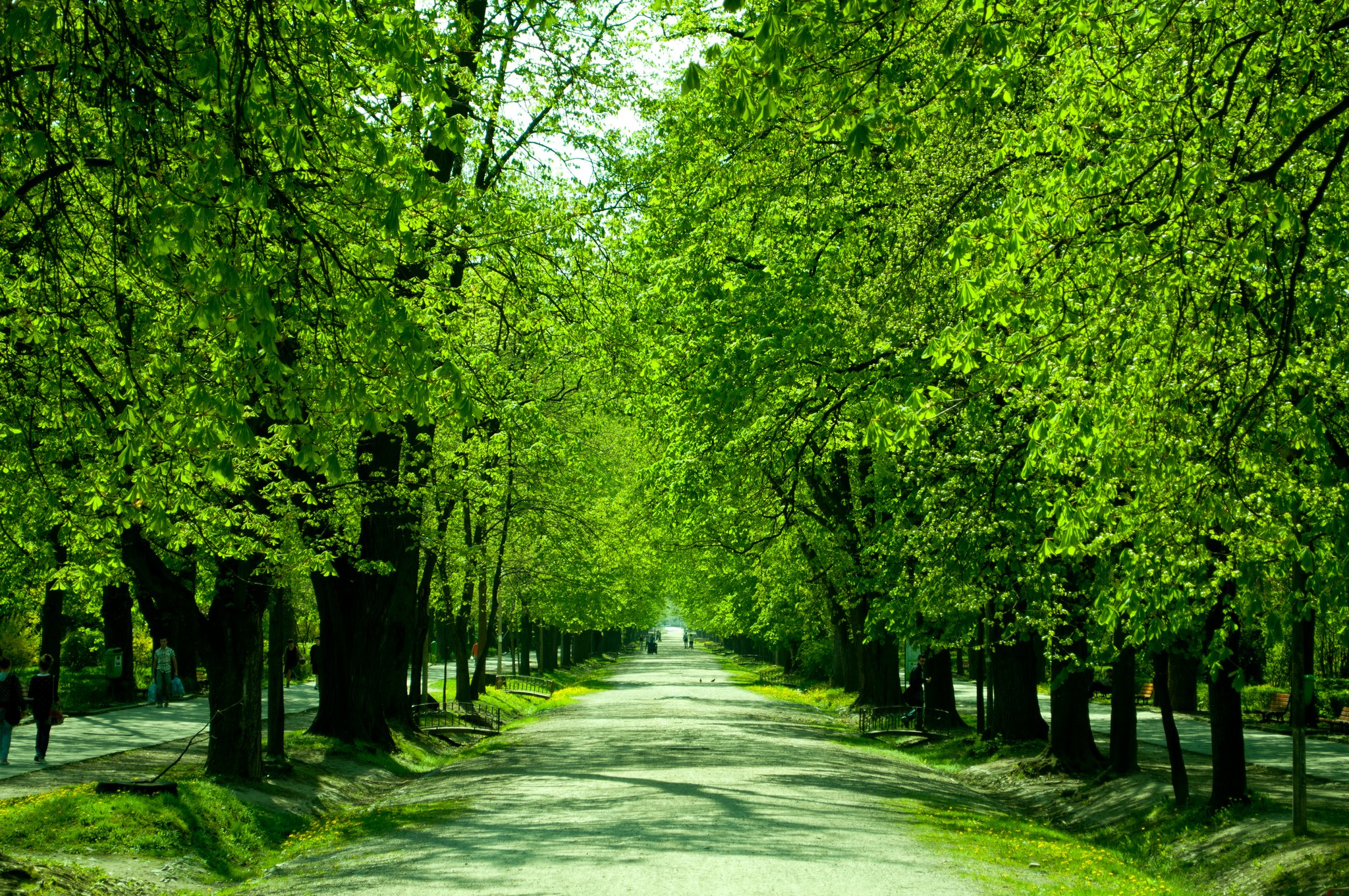 Tudor Lucian Valean.