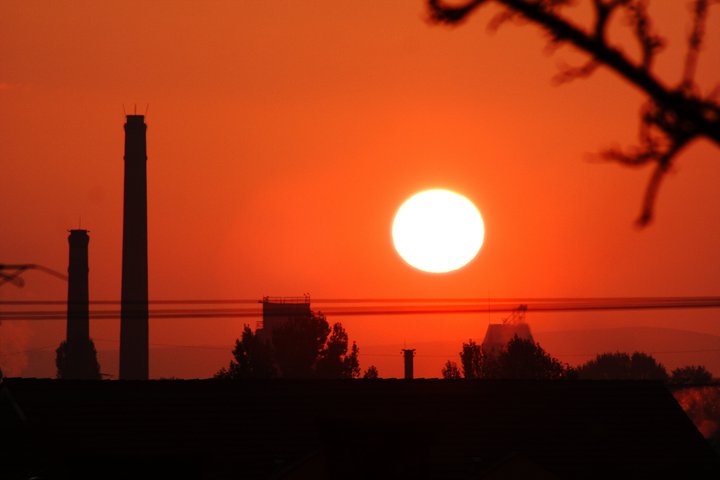 Portik Lorant-Andras (2)