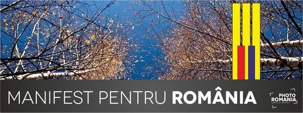 manifest-pentru-romania_518fbcd958fcd_b