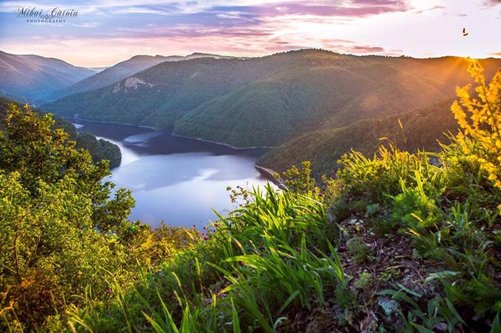 Căţoiu Silviu Mihai