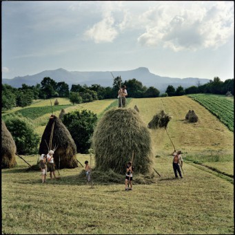transilvania-rena-effendibun