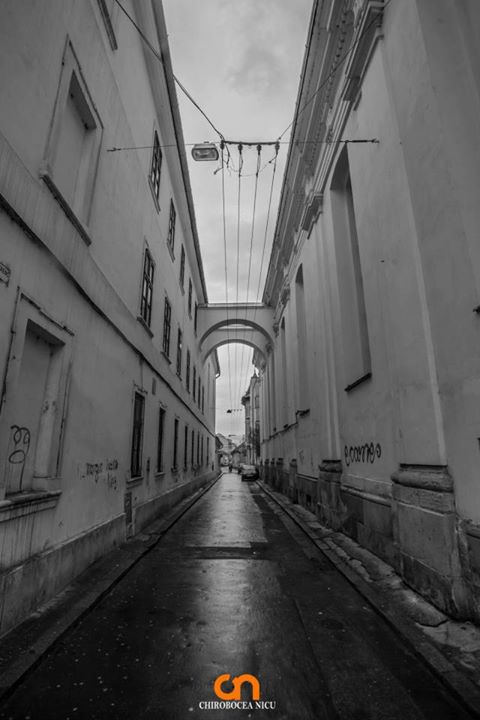 Chirobocea Nicu Photography