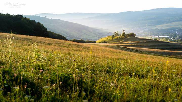 Căţoiu Silviu Mihai