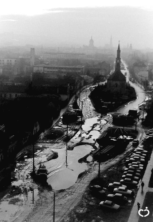 watermarked-Karin NedelaKarin Nedela