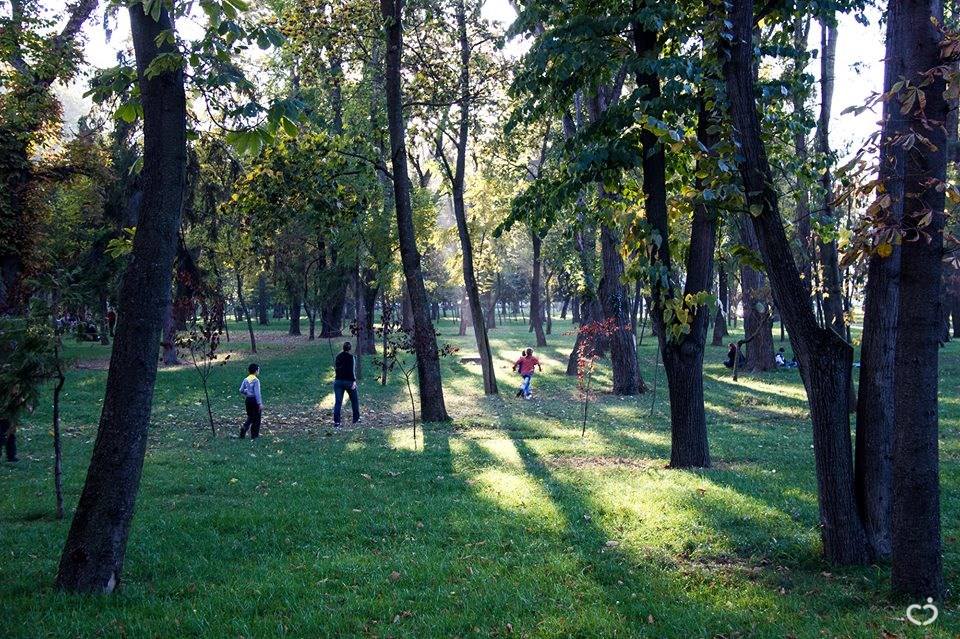 Costiniuc Mircea (2)