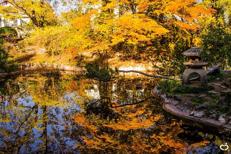 Sergiu Constantinescu