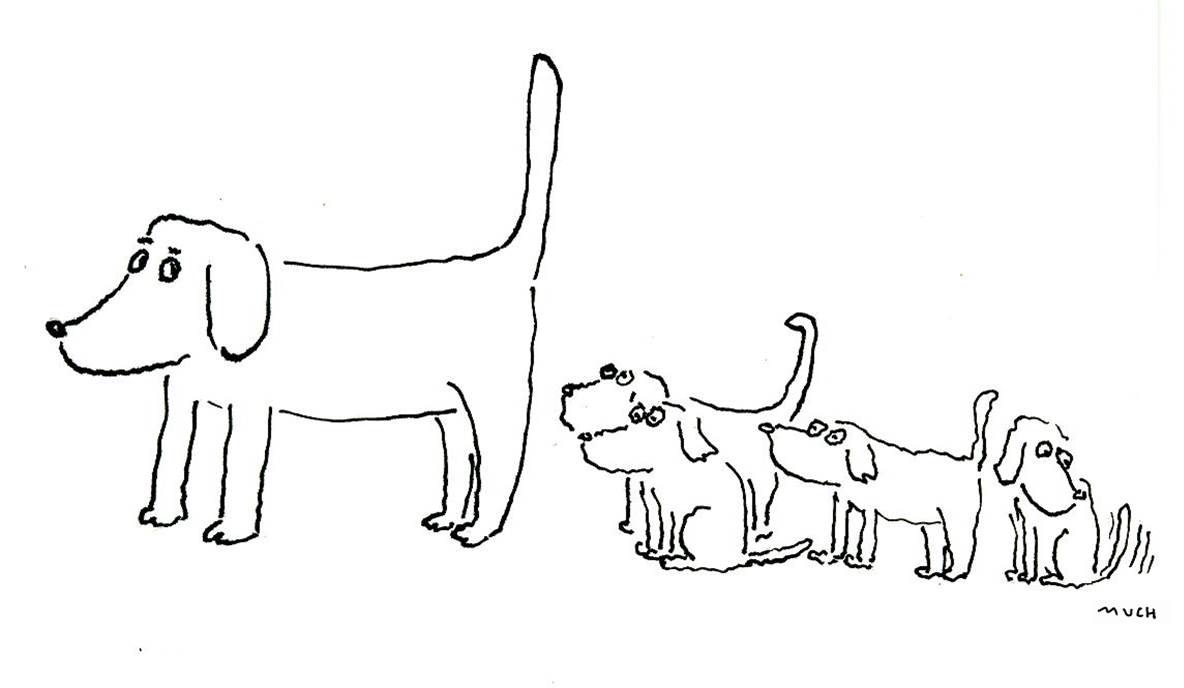hunde