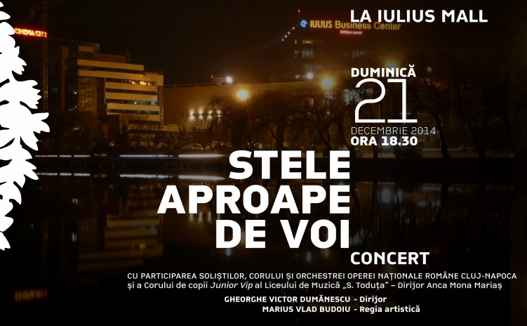 21dec14_stele_aproape