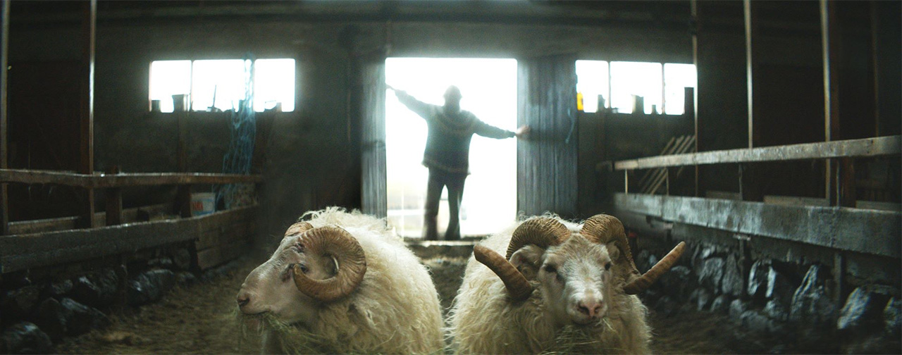 Rams