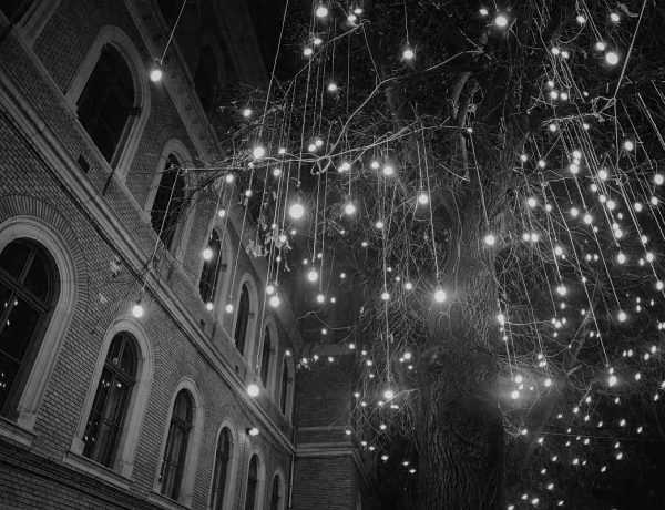 light on