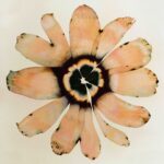 COS ✕ Stephen Doherty_Illustration 1