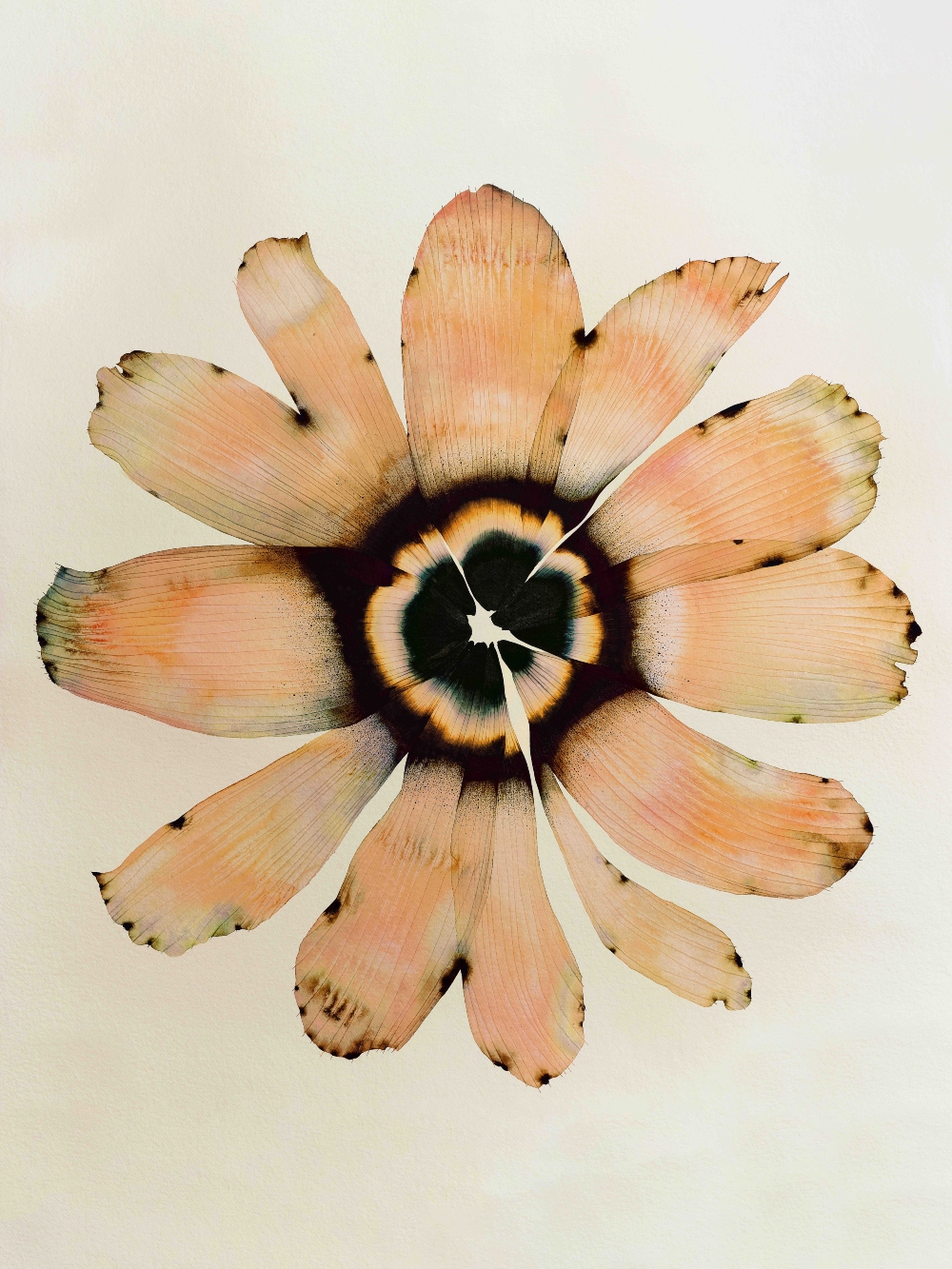 COS ✕ Stephen Doherty_Illustration 1