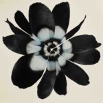 COS ✕ Stephen Doherty_Illustration