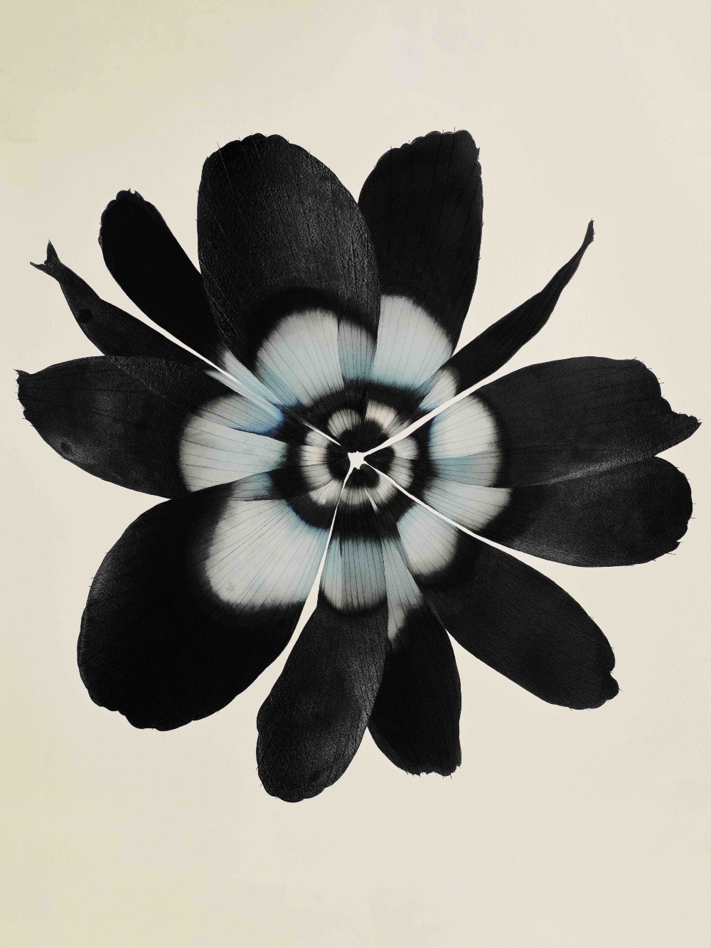 COS ✕ Stephen Doherty_Illustration