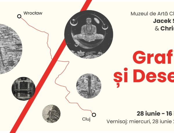 afis grafica si desene