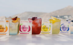 WATERDROP RASPBERRY ICE TEA